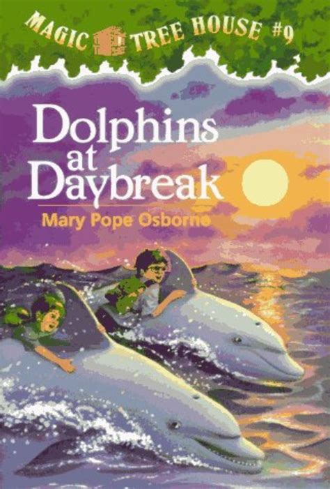 Sunrise adventure with dolphins in the magic tree house